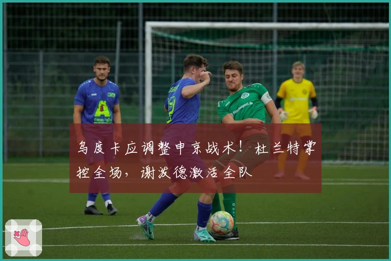 乌度卡应调整申京战术！杜兰特掌控全场，谢泼德激活全队